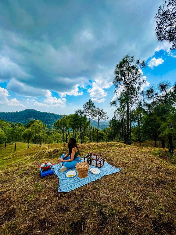 Casa Belvedere Luxury Villas Dagshai ภายนอก รูปภาพ